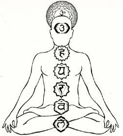 Diagram showing the 7 chakras in the body